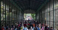 Pengunjung menyaksikan aneka jenis hewan di Taman Margasatwa Ragunan (TMR) saat mengisi masa libur beberapa waktu lalu. (Sumber: Poskota/Bilal Nugraha Ginanjar)