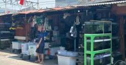 Situasi pedagang Lokasi Sementara (Loksem) Bursa Ikan Hias Kartini, Gunung Sahari, Jakarta Pusat, Rabu, 6 Agustus 2025. (Sumber: Poskota/Muhammad Tegar Jihad)