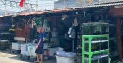 Situasi di lokasi sementara Bursa Ikan Hias Kartini, Gunung Sahari, Jakarta Pusat. (Sumber: POSKOTA | Foto: M Tegar Jihad)