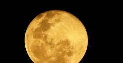 Fenomena Sturgeon Moon atau bulan purnama Agustus 2025 dapat disaksikan sepanjang malam. (Sumber: Pexels/Sharath G)