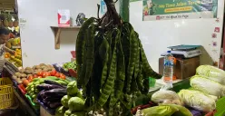 Harga petai di Pasar Tradisional Tomang Barat, Grogol Petamburan, Jakarta Barat, melonjak naik sejak satu minggu terakhir. (Sumber: Poskota/Pandi Ramedhan)