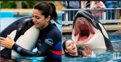 Viral detik-detik rekaman video yang mengklaim pelatih laut muda bernama Jessica Radcliffe (23) diserang hingga tewas oleh paus orca. (Sumber: X/@syu_cream4649)