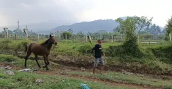 Kondisi lokasi Pacuan Kuda Cikidang, Desa Kayuambon, Lembang, Kabupaten Bandung Barat. (Sumber: POSKOTA | Foto: Gatot Poedji Utomo)