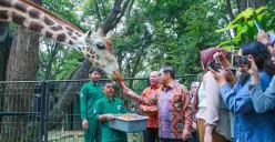 Gubernur Jakarta, Pramono Anung meninjau Taman Margasatwa Ragunan, Jakarta Selatan, Kamis, 14 Agustus 2025. (Sumber: Dok. Kominfotik Pemprov Jakarta)