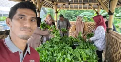 Abdul Rosid, 42 tahun, menunjukkan hasil panen ubi jalar dari budidaya di lahan terbatas miliknya di Pondok Melati, Kota Bekasi. Metode urban farming ini menjadi inovasi pertanian perkotaan di tengah minimnya lahan. (Sumber: Istimewa)