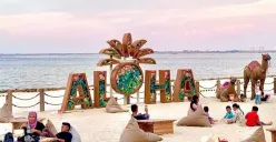 Aloha PIK salah satu rekomendasi wisata di PIK 2. (Sumber: TikTok/@haloomei)