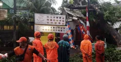 Petugas BPBD Jakarta saat melakukan proses evakuasi pohon tumbang yang menimpa sebuah kios pedagang pada Rabu, 20 Agustus 2025. BPBD Jakarta (Sumber: BPBD Jakarta)