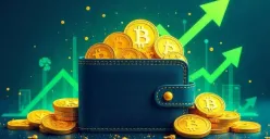 Jenis dompet kripto mana yang paling aman untuk aset digital kamu (Sumber: Pinterest/Talluqat)