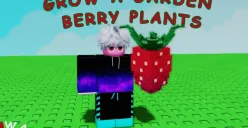 Daftar lengkap tanaman Berry untuk event beanstalk di grow a garden roblox (Sumber: Beebom)