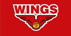 Lowongan kerja Wings Group Indonesia. (Sumber: Instagram/@wings_indonesia)