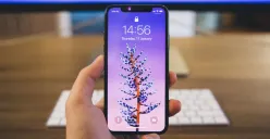 Cek berikut ini beberapa perbedaan iPhone inter dan iBox. (Sumber: Pexels/Rob Eradus)
