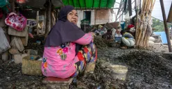 Aktivitas pengupasan kerang hijau di Muara Angke, Penjaringan, Jakarta Utara, Rabu, 3 Desember 2025. (Sumber: POSKOTA | Foto: Dhiya Ahmad Fauzan/M2)