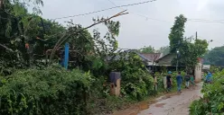 Kondisi permukiman warga di Desa Tamansari, Kecamatan Setu, Kabupaten Bekasi, setelah diterjang angin puting beliung. (Sumber: POSKOTA | Foto: Nurpini Aulia Rapika)