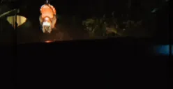 Polisi mengawal sopir ojol antar makanan di kawasan Gunung Putri, Kabupaten Bogor. (Sumber: Dok. Polsek Gunung Putri)