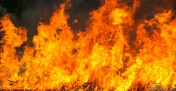 Ilustrasi- Kebakaran besar terjadi di gedung perkantoran Terra Drone di Jalan Letjen Suprapto No. 17, Cempaka Baru, Kemayoran, Jakarta Pusat pada Selasa, 9 Desember 2025. (Sumber: Freepik/ilovehz)