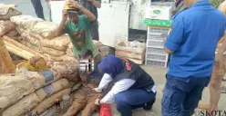 Pekerja galian PLN di Curug saat berhasil diselamatkan usai tertimbun tanah galiannya sendiri. (Sumber: Poskota | Foto: Veronica Prasetio)