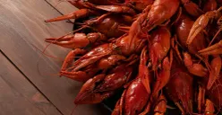 Ilustrasi penyelundupan lobster. (Sumber: Freepik/@freepik)