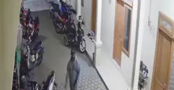 Tangkapan layar dua maling motor terekam CCTV saat beraksi di kawasan Sukaraja, Kabupaten Bogor. (Sumber: Istimewa)