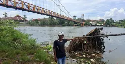 Salah seorang warga, Napong menunjukan pohon rengas yang tumpang dan menimpa kabel baja sling jembatan Setu Tujuh Muara Bojongsari, Kota Depok, Sabtu, 13 Desember 2025. (Sumber: POSKOTA | Foto: Angga Pahlevi)