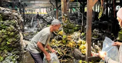 Situasi kios buah terdampak kebakaran di Pasar Induk Kramat Jati, Jakarta Timur, Senin, 15 Desember 2025. (Sumber: Poskota | Foto: M. Tegar Jihad)