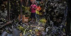 Pedagang merapihkan sisa buah-buahan yang hangus terbakar di Pasar Induk Kramat Jati, Jakarta Timur, Senin, 15 Desember 2025. (Sumber: Poskota/Bilal Nugraha Ginanjar)