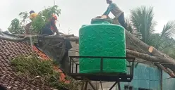 Petugas BPBD Lebak saat menangani pohon tumbang yang menimpa rumah warga. (Sumber: BPBD Lebak)