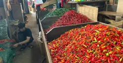 Ilustrasi cabai di pasar tradisional. (Sumber: Poskota/M. Tegar Jihad)