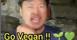 Viral vide ajakan "Go Vegan" di media sosial. Komentar netizen bikin ngakak (Sumber: Instagram)