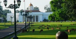 Libur Nataru Tanpa Boncos: Ini 5 Wisata Bogor Ramah di Kantong yang Wajib Masuk Wishlist (Sumber: Pinterest)