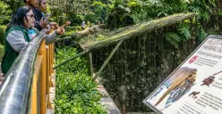 Pengunjung melihat satwa ketika berwisata di Taman Margasatwa Ragunan, Pasar Minggu, Jakarta Selatan. (Sumber: Poskota)