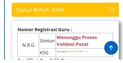 Guru mengecek Nomor Registrasi Guru (NRG) di Info GTK untuk memastikan kelengkapan administrasi dan pengajuan Tunjangan Profesi Guru (TPG). (Sumber: Facebook)