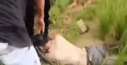 Tangakapan layar video warga memperlihatkan pelaku curanmor terkapar di sawah saat diamuk massa. (Sumber: Dok. Warga)