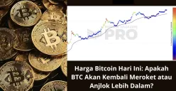 Heatmap 200W MA menunjukkan bahwa Bitcoin masih dalam fase pertumbuhan. (Sumber: Poskota/Yusuf Sidiq)