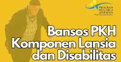 Rincian saldo dana bansos PKH yang akan disalurkan ke Penyandang Disabilitas berat 2025. (Sumber: Pexels/Ebahir/Edited Dadan)