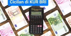 Cek cicilan pinjaman di KUR BRI. (Sumber: Freepik)