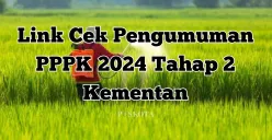 Cek hasil pengumuman PPPK 2024 Tahap 2, termasuk jadwal, cara cek pengumuman, dan tahapan lanjutan (Sumber: Poskota/Yusuf Sidiq)