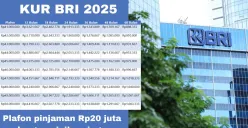 KUR BRI 2025: Dapatkan Pinjaman Rp50 Juta dengan Daftar Pakai NIK KTP, Begini Caranya (Sumber: Arip Apandi)