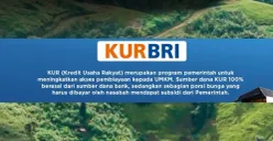 Ilustrasi KUR BRI 2025. (Sumber: X/@BANKBRI_ID)