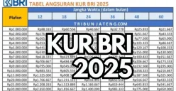 KUR BRI 2025 hadir dengan berbagai pilihan plafon pinjaman, mulai dari puluhan juta hingga ratusan juta rupiah. (Sumber: Poskota/Dadan Triatna)