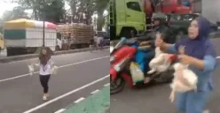 Momen warga mendapatkan ayam potong gratis dari sopir truk pengangkut ayam di Maros. (Sumber: Tangkap Layar X/@mas2_jawa)