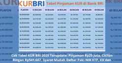 Simulasi tabel angsuran KUR BRI 2025 dengan plafon Rp25 juta dan tenor hingga 5 tahun. (Sumber: Poskota/Yusuf Sidiq)