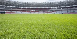 Saat Timnas Indonesia vs Bahrain, PT Lestarindo Soccer Field pastikan rumput belum dalam kondisi baik (Sumber: X/ Football5star)