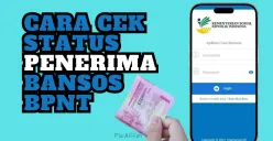 Berikut ini cara cek status penerima bansos BPNT dengan cara online. (Sumber: Poskota/ Fia Afifah)