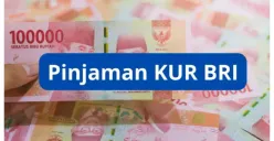 angsuran KUR BRI 2025 dengan plafon Rp500 juta tanpa agunan