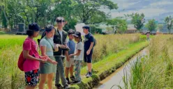 Anak-anak sedang belajar mengolah padi di Scientia Square Park (Sumber: Instagram/@scientiasquarepark)