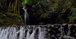 Keindahan alam Curug Putri Paluntungan Kuningan (Sumber: Instagram/@sfummara)