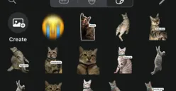 Simak cara membuat stiker WhatsApp pakai foto sendiri gampang banget tanpa aplikasi. (Sumber: Poskota/Shandra)