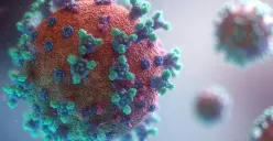 Ilustrasi perbedaan COVID-19 dan virus HMPV. (Sumber: Unsplash/Fusion Medical Animation)