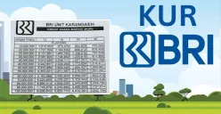 cek angsuran kur bri 2025 Rp30 juta. (Sumber: Poskota/Faiz)