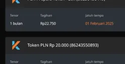 Perhatikan struk pembelian token listrik untuk memastikan apakah Anda mendapatkan subsidi. Bijak memahami informasi adalah kunci. (Sumber: Facebook/Ayu)